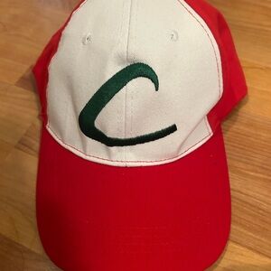Pokemon Ash hat